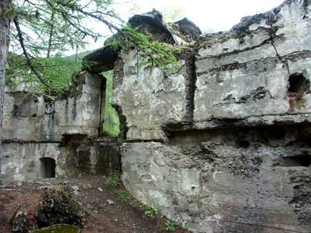 barbafiore_29