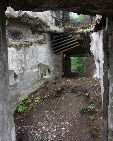 barbafiore_33