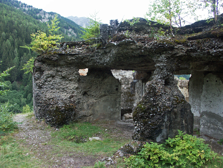 barbafiore_37