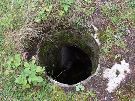 barbafiore_38