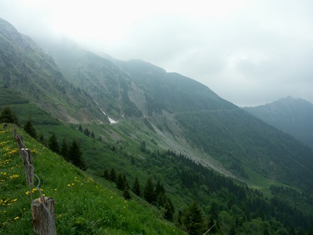 crocedomini_021