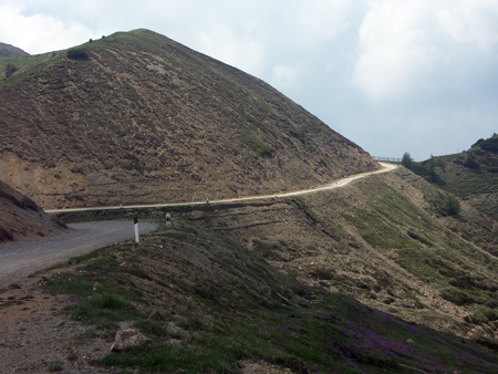 crocedomini_072